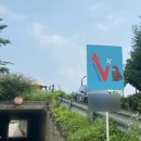 테디스로드 이미지