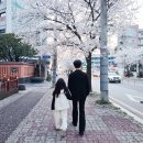 ㈜남해환경 | 어버이날 선물로 흑마늘진액, 부모님 건강식품