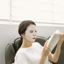 스테디