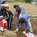 [인재산실 탐방] 영동지역 최북단 중학교 ‘고성 대진중학교’ /교육공동체 합심 학력 향상 최선 이미지