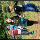 기현농장 이미지