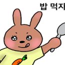 해담회초밥