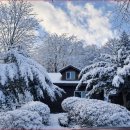 국립유명산자연휴양림 이미지