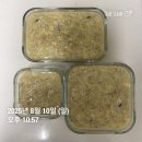 포차결혼상담소 | 8월 2주차 냠냠일기