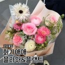 홍우빌딩 | 강남 역삼역 꽃집 추천! 기념일이나 데이트에 딱인 ‘화기애애플라워&amp;플랜트’ 내돈내산 후기