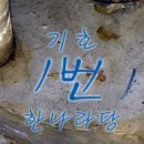 매직넷