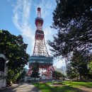 청명오토바이 | 7월 홋카이도 삿포로 비에이 라벤더 시즌에 다녀온 후기