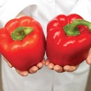 웰빙피부 - 송파구 | 웰빙피부
