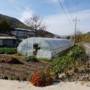 보통1리경로당 네이버블로그