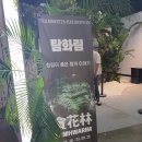 송도 팀보타 탐화림 전시회 후기