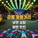 월화상점 | 강릉 월화거리 후기┃낮보다 밤이 더 좋았던 강릉 가볼 만한 곳
