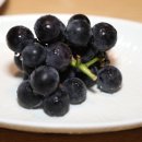 한라의 집 이미지