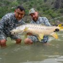 황금낚시 이미지