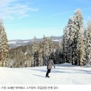 파랑새노래 이미지