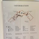 (주)코스모스지 | SUITE) 호캉스, 아시아나 국내선 비즈니스 탑승 및 라운지 후기, 공항 차량 픽업 서비스 제네시스 G90