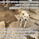 동이스토리