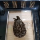 브리딩 팜 이미지