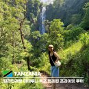 루니마트 | 아프리카 여행 탄자니아 모시 킬리만자로산 마테루니 폭포 트레킹 투어 후기