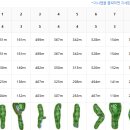 Top 스크린골프존 이미지