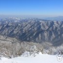 분소 Daum카페