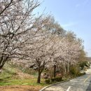 광성보주차장 이미지