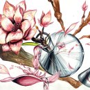 더 끌림 이미지