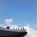 관문공판장 이미지