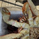 삼화수산 이미지