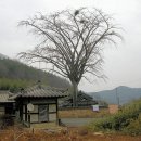 어계고택 이미지