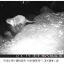 수달수영장 이미지