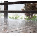 소반의하루