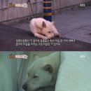 삼거리농장 이미지