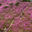 자연과별유스호스텔 이미지