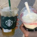 야!놀쟈 노래연습장 | 사과가 되지 말고 도마도가 되라🍅