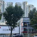 범어동물병원 | [대구동물병원 추천] 24시범어동물의료센터에서 강아지 건강검진 받았어요