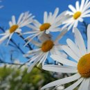 공영주차장옆길 이미지