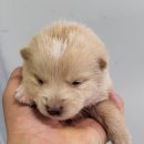 진북동물병원 이미지