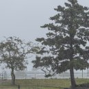 선양 목장 이미지