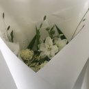 윈디그라스 이미지
