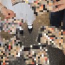 지훈이네 | 27. 절반이 없는데 어떻게 하나로 살아// Busanteen 첫 모임 // 지훈이 송별회 후기