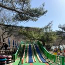 국민힐링 | 경주 아이랑 가볼만한곳 국민힐링파크 입장료 카누 내돈내산 후기