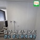 신축 아파트 입주 전 필수? 선택? 신화탄성 베란다 탄성코트 내돈내산 솔직후기