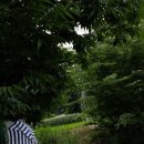 천경대3 이미지