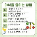 점핑놀이터