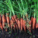 당근수퍼 이미지