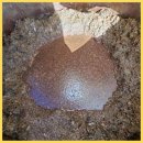 소문난건어물 이미지