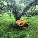 (주)에스엔 이미지