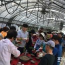 김창현농장 이미지