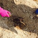 근원농장 이미지