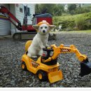 요제농장 이미지